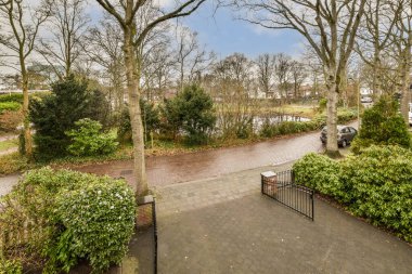 Yolun her iki tarafında da arabaların park edildiği bir yere giden ağaçlar ve çalılar olan bir park.