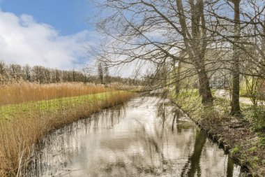 Ön planda ağaçlar ve otlar olan bir nehir yüzeydeki suların yansıması ile yansıtılır.