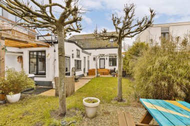 ön tarafında bir bank ve ağaç olan arka bahçe alanı - görüntü Flickonline com 'da yayınlanan bir makaleden alındı