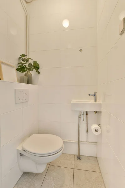 Koupelna Bílými Dlaždicemi Rostlina Záchodové Nádrži Rohu Vedle Otevřený Sprchový — Stock fotografie
