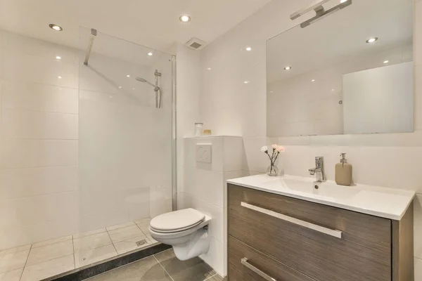 照片中带有卫生间 水槽和淋浴间的浴室是从房间的前端拍摄的 — 图库照片