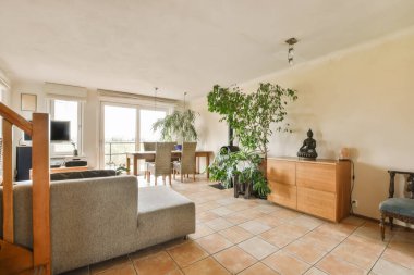 Kanepeleri olan bir oturma odası ve duvarın sağ tarafında bir bitki beyaz.