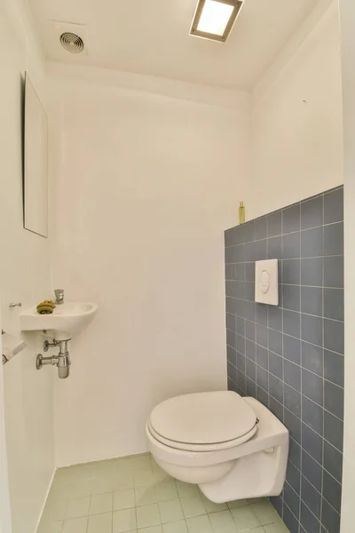 浴室里的一个白色厕所 地板上有蓝色瓷砖 墙壁上有一面墙上安装的镜子 — 图库照片
