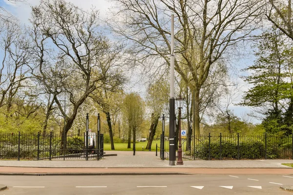 Ein Park Mit Bäumen Hintergrund Und Weißen Linien Die Auf — Stockfoto