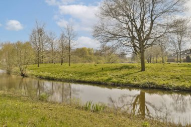 Ağaçları ve çimenleri olan bir nehir, güneşli bir bahar gününde, suya yansıyor.