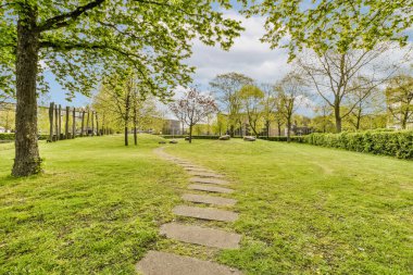 Ön planda ağaçlar ve çimenler olan boş bir park - 12307984