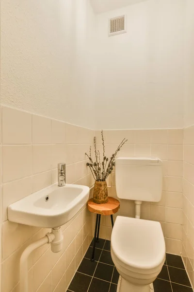 Ванна Кімната Білими Стінами Чорною Плиткою Поруч Раковиною Рослина Сидінні — стокове фото