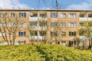 Bir apartmanın önündeki ağaçlar ve çalılar üzerinde kuşların tünediği bir bina.