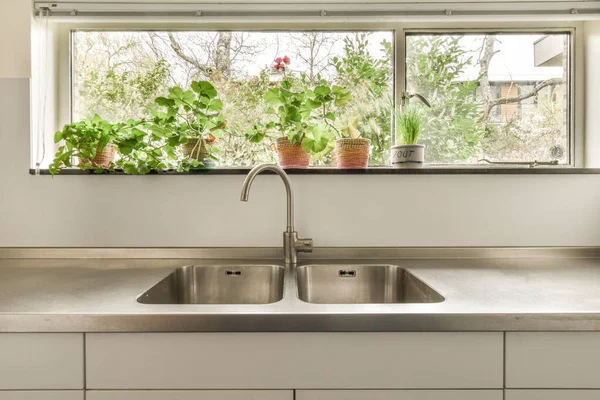 a kitchen sink and window with plants in the window sier next to it that looks out onto the street