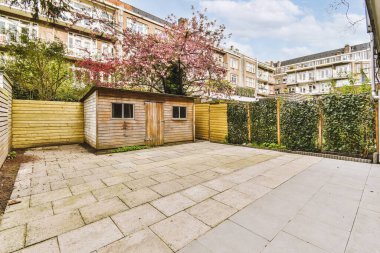 Arka planda ağaçlar ve binalar olan bir arka bahçe. Arkasında elma ağacı olan ahşap çitli bir bahçe.