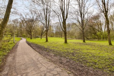 Her iki tarafında çıplak ağaçlar ve sağında yeşil çimenler olan bir tarlanın ortasında toprak bir patika.