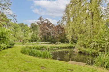 Her iki tarafında ağaçlar, çimenler ve çalılarla dolu bir parkın ortasında mavi bir gökyüzü var.
