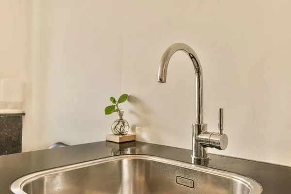 Kitchen Sink Green Plant Fauced Its Side Splash Mixer Water — Stock Photo, Image