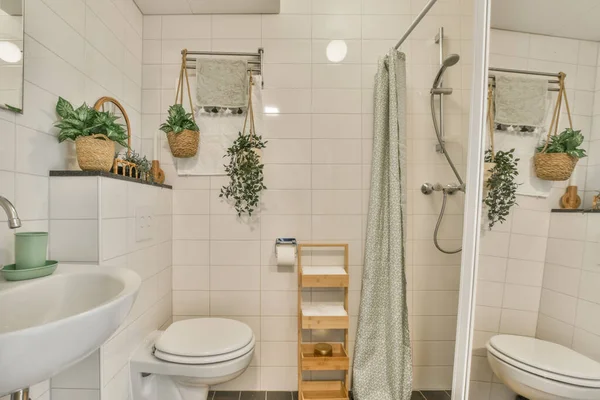 Duş Kabininden Sağda Görüldüğü Gibi Duvarında Bitkiler Köşesinde Tuvalet Olan — Stok fotoğraf