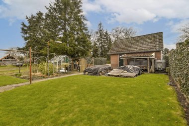 Bahçede bir sürü yeşil çimen ve arka planda güneşli bir günde eski bir ahşap ev.