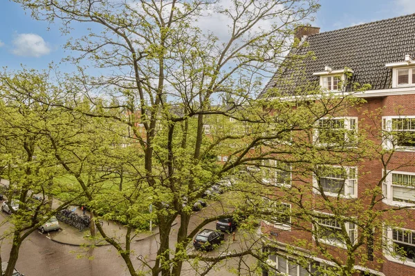 Bir binanın önündeki ağaçtan. Arabalar caddenin yanına park edilmiş. Ve yukarıdaki mavi gökyüzü.