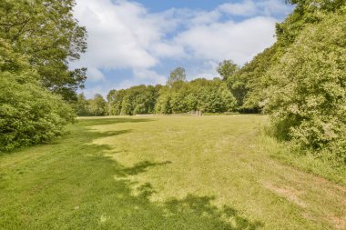 Arka planda ağaçlar, yeşil çimlerin üzerinde mavi gökyüzü, parlak beyaz bir bulutun altında çimenli bir tarla.
