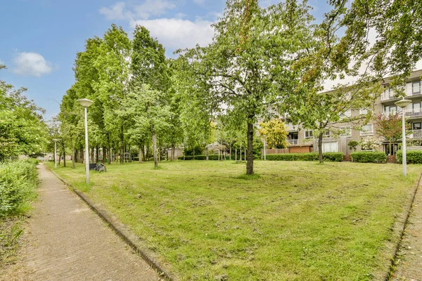 Eine Grünfläche Mitten Einem Stadtviertel Mit Bäumen Und Gebäuden Auf — Stockfoto