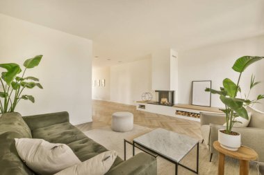 Kanepenin önünde iki kanepe ve bir sehpa olan bir oturma odası büyük yeşil bir bitki.