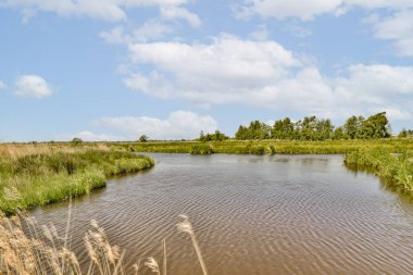 Her iki tarafında uzun otlar ve ağaçlar olan bir tarlanın ortasında beyaz bulutlarla dolu mavi bir gökyüzü var.