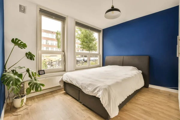 a bedroom with blue walls and white bed in the middle of the room there is a plant on the side of the bed