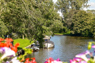 Nehrin kenarındaki çimenlerin üzerinde mavi gökyüzü olan bazı tekneler.