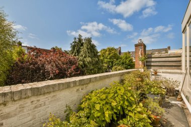 Mavi gökyüzü ve beyaz bulutlu bir binanın yan tarafında yetişen bazı bitkiler arkadan çekiliyor.