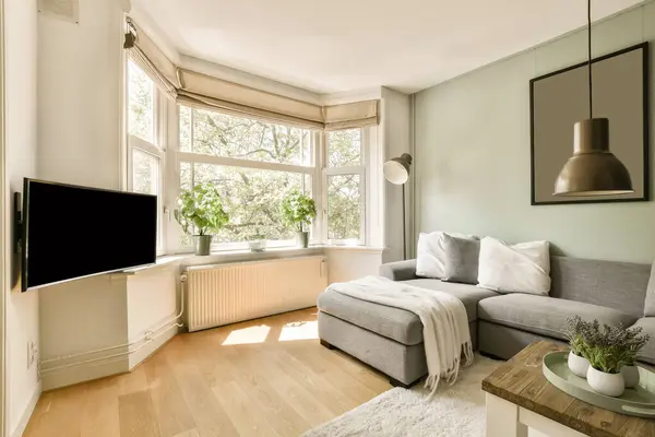 a living room with light green walls and hardwood flooring, including a grey sofa and white rug on the floor