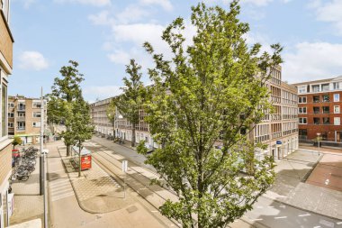 Boş bir caddenin ortasında, caddelerin her iki yanına park edilmiş binalar ve bisikletler olan bir ağaç.