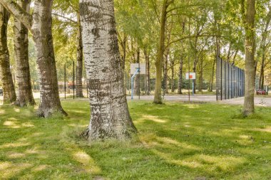 Önünde ağaçlar ve çimenler olan bir park. Görüntü bir uçak penceresinden alındı ama kimse onu göremiyor.