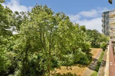 Arka planda binalar ve üzerinde mavi gökyüzü olan bir caddenin ortasındaki ağaç, havadan bakıldığında görülebiliyor.