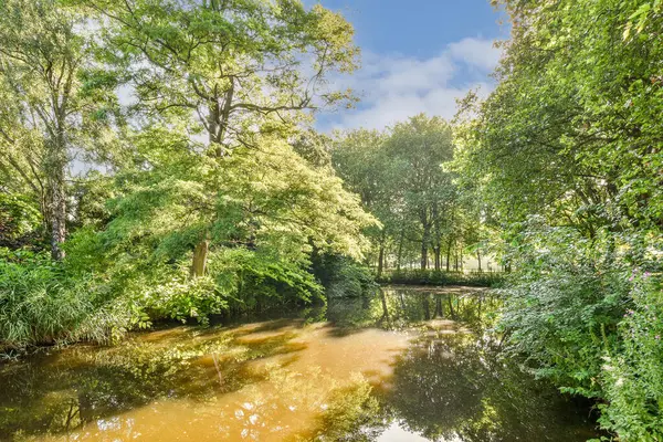 Güneşli bir günde ağaçlar ve çalılarla çevrili bir nehir. Gökyüzündeki bulutların arasından parlayan güneş.