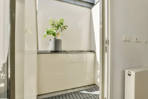a plant in a pot on the floor next to an open door that leads to a balcony with white walls