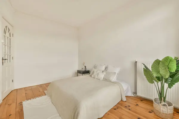 a bedroom with white walls and wood flooring in the room, it has a large green plant on the side of the bed