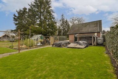 Arka bahçesinde bir sürü yeşil çimen ve bir kaç ağaç olan bir bahçe, arkasında bir ev var.