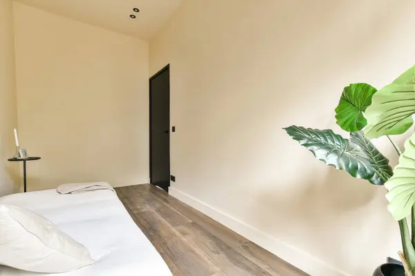 a bedroom with a bed, plant and lamp on the wall in front of the bed is an empty room