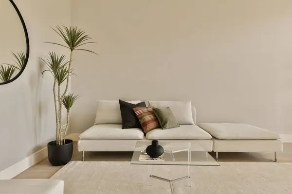 Living Room Couch Coffee Table Two Planters Floor Front Sofa Stockfoto