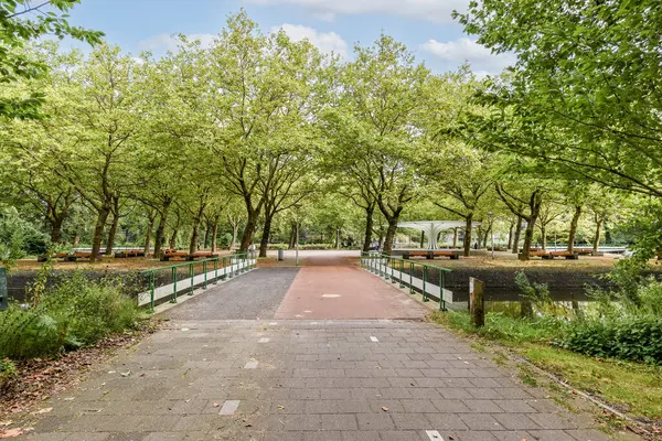 Parkta canlı ağaçlarla kaplı sakin bir patika. Bu sahne doğanın özünü yakalar güzellik ve sükunet huzur ve rahatlamaya davet eder..