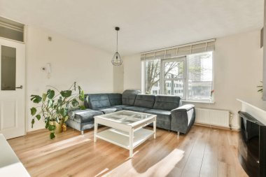 Rahat gri bir kanepe, bir sehpa ve yemyeşil bitkilerin bulunduğu çağdaş bir oturma odası. Doğal ışık geniş pencerelerden geçerek sıcak atmosferi güçlendirir..