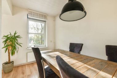 Parlak ve minimalist bir iç mekan. Ahşap mobilyalar ve saksı bitkisi sergileniyor. Huzurlu ve şık bir atmosfer vurgulanıyor..