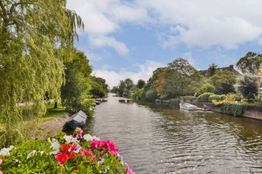 Canlı çiçekler ve gür ağaçlarla çerçevelenmiş sakin bir nehir manzarası. Sakin su doğayı yansıtır, barışçıl bir atmosfer yaratır..