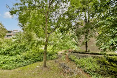 Şehir ortamında ağaçların ve çalıların bulunduğu canlı bir yeşillik gösterisi, binaların arasına huzurlu bir doğal ortam davet ediyor..