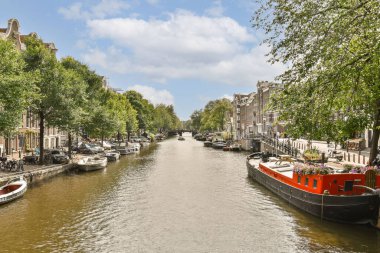 Ağaçlarla ve klasik binalarla dolu Amsterdam ikonik kanallarının huzurlu manzarası güzel su yollarını ve canlı atmosferi sergiliyor..