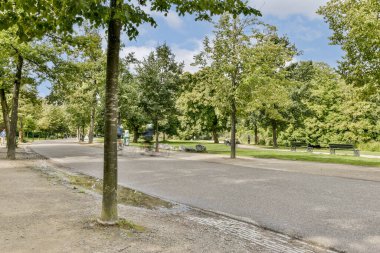 Canlı yeşil ağaçlarla çevrili yeşil bir parkın içinden huzurlu bir patika geçiyor. Banklar ziyaretçileri doğal güzelliklerin ortasında dinlenmeye davet eder..