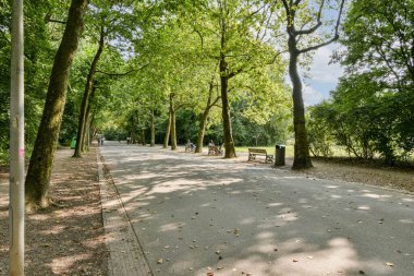 Yeşillik bir parkta sakin bir yürüyüş yolu, gölgelik sağlayan uzun ağaçlarla kaplı, doğanın ortasında sakin yürüyüşler ve rahatlama için ideal..