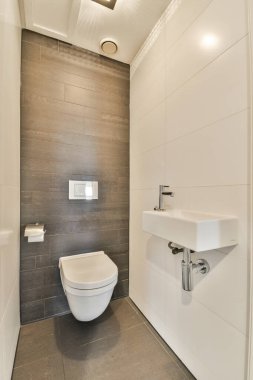Gösterişli ve çağdaş bir banyo. Minimalist tasarım özellikleri sergiliyor. Tuvalet ve gri bir duvara karşı şık bir lavabo da dahil..