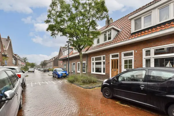 Yağmurdan sonra hafif gün ışığıyla aydınlatılan, çok sayıda park edilmiş araba ve evin olduğu tuhaf bir yerleşim yeri. Bir ağaç yeşillik katar.