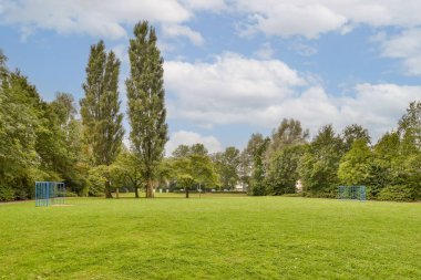 Açık mavi gökyüzünün altında canlı yeşil çimenler ve uzun ağaçların olduğu sakin bir park sahnesi. Rahatlama ve açık hava aktiviteleri için ideal.