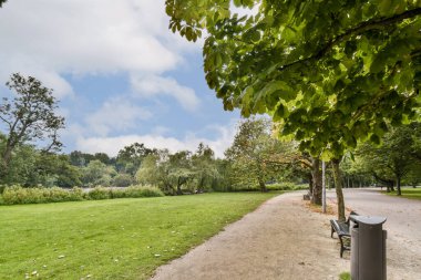 Bereketli yeşilliklerle kaplı sakin bir park yolu huzurlu bir geri çekilme sunuyor. Uzun ağaçlar ve bulutlar gezinti ve rahatlama için ideal bir manzara yaratır..