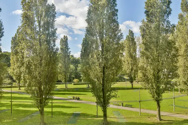 Uzun ağaçların ve yemyeşil çimenlerin bulunduğu sakin bir park, ziyaretçileri dinlenmeye ve canlı bir manzaranın güzelliğinin tadını çıkarmaya davet ediyor..